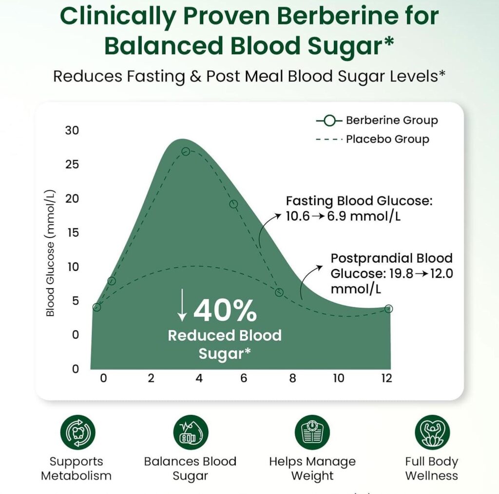 An educational diagram mapping clinical study data for berberine's impact on lowering blood glucose levels by up to 40 percent over time.
